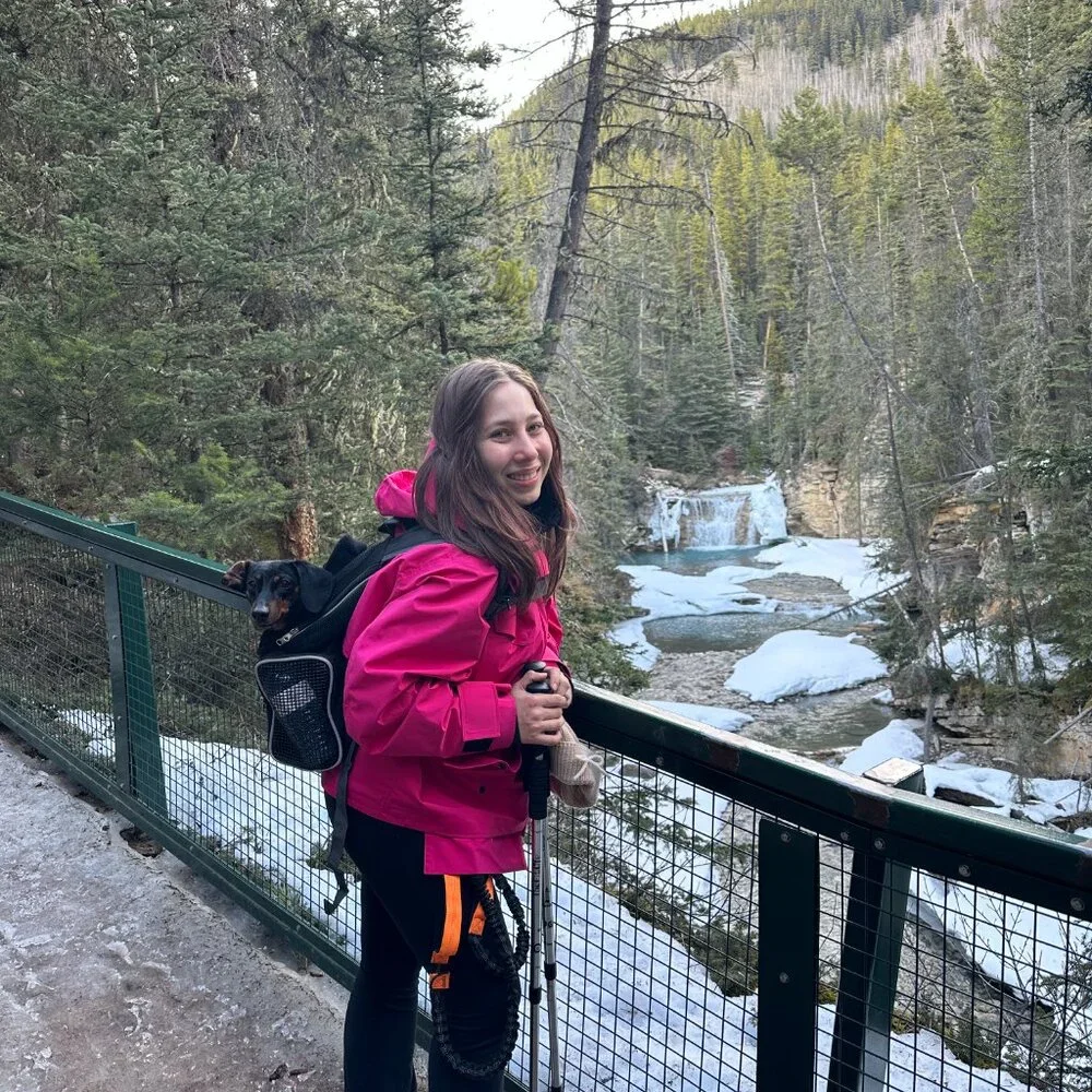 Pet Carrier Backpack for hiking - Picture 4 of 5